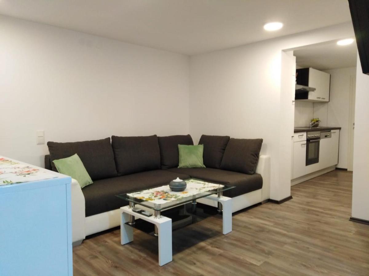 Ferienhaus Bauer Wohnung 2 Trattenbach  Extérieur photo